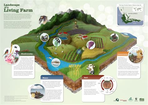 The Organic Farm: A Journey into Sustainability – An ode to the land and a blueprint for ecological living